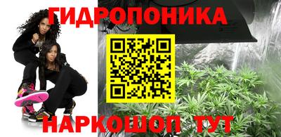 гидра Заводоуковск