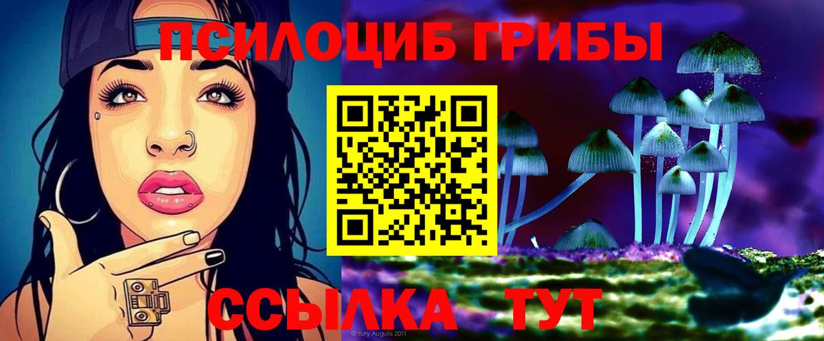 Галлюциногенные грибы мицелий  Псилоцибиновые грибы мицелий  Сертолово  Вход с VPN 