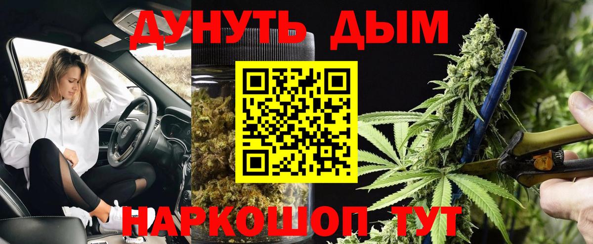 Шишки марихуана план  Марихуана конопля  Бошки Шишки тримм  Сертолово  Вход с VPN 